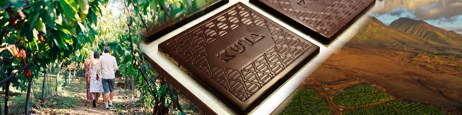 Ku'ia Estate – Maui Guided Cacao Farm Tour & Tasting 